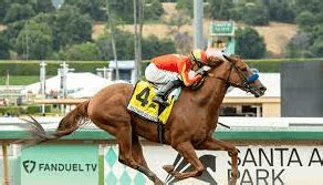 abdellatifturf|Thoroughbred Archives .